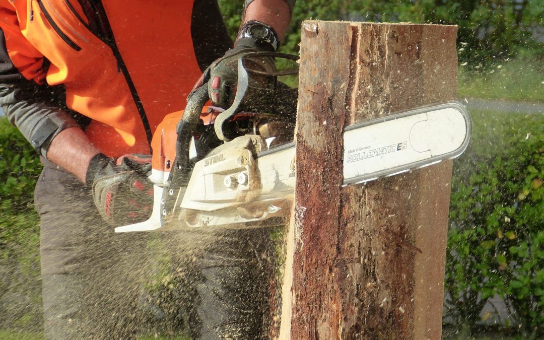 Vital Safety Tips Every Chainsaw Operator Should Know