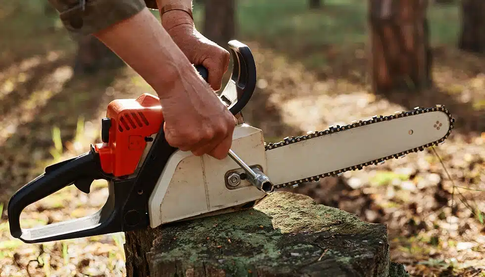 chainsaw safety gear